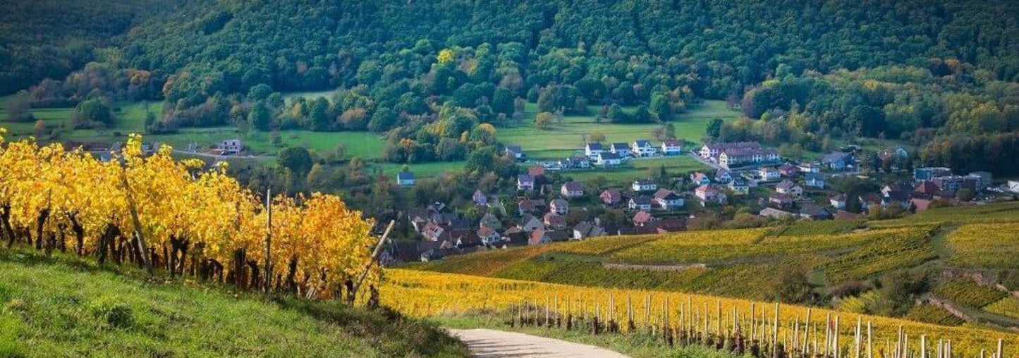 AOC Alsace 'Sulzer' 2020