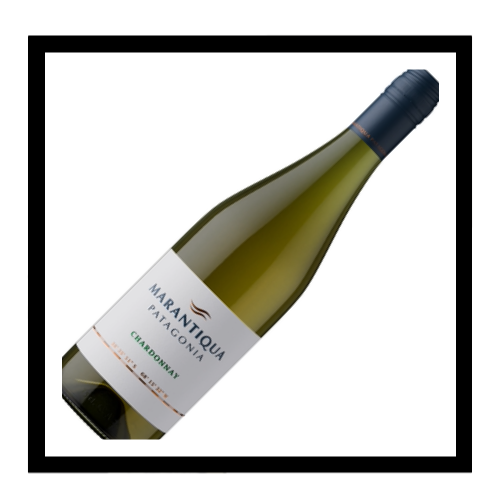 SAQ Chardonnay ‘Marantiqua’ 2024, Patagonie, Argentine