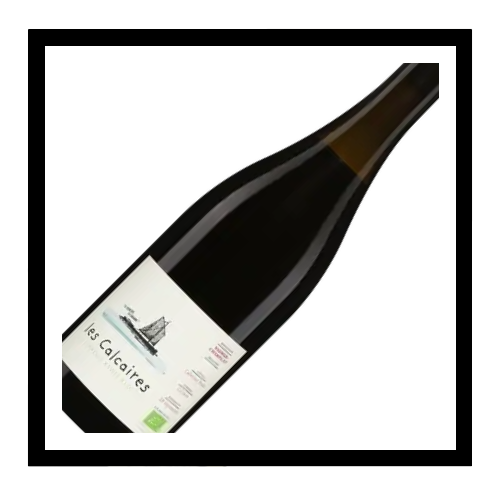SAQ Saumur-Champigny ‘Les Calcaires’ 2023, François Xavier Barc