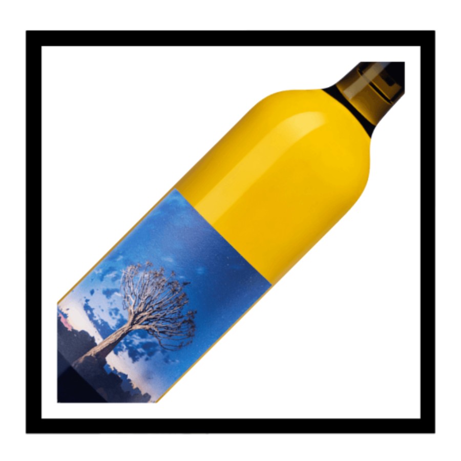 Chardonnay U-Velaphi 2024, Fledge & Co, Klein Karoo, Afrique du Sud