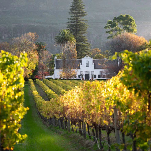 Constantia riesling 2024, The Fledge, Af. du Sud