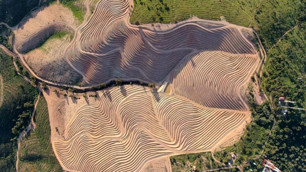 Alentejo 'Reserva Branco' 2022