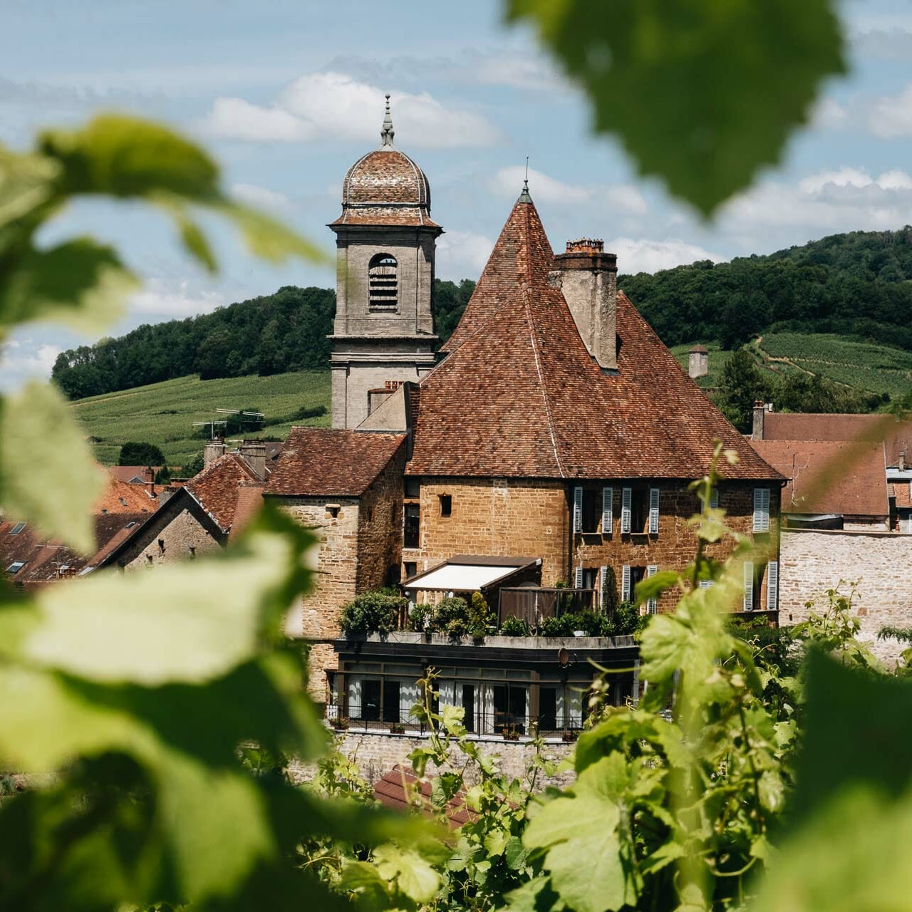 Arbois 'Poulsard Pinte bien' 2023