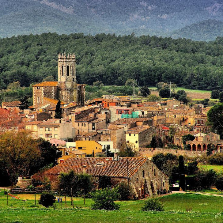 Empordà 'Petit suneus' 2024