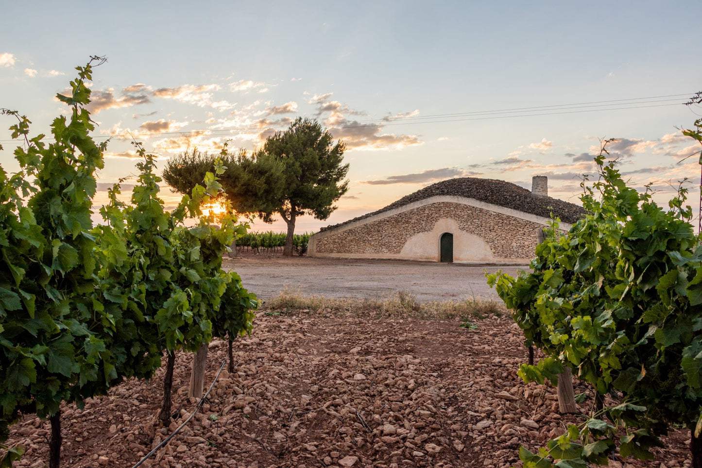 Albillo Real 'Obscuro' 2023, Bodegas Verum