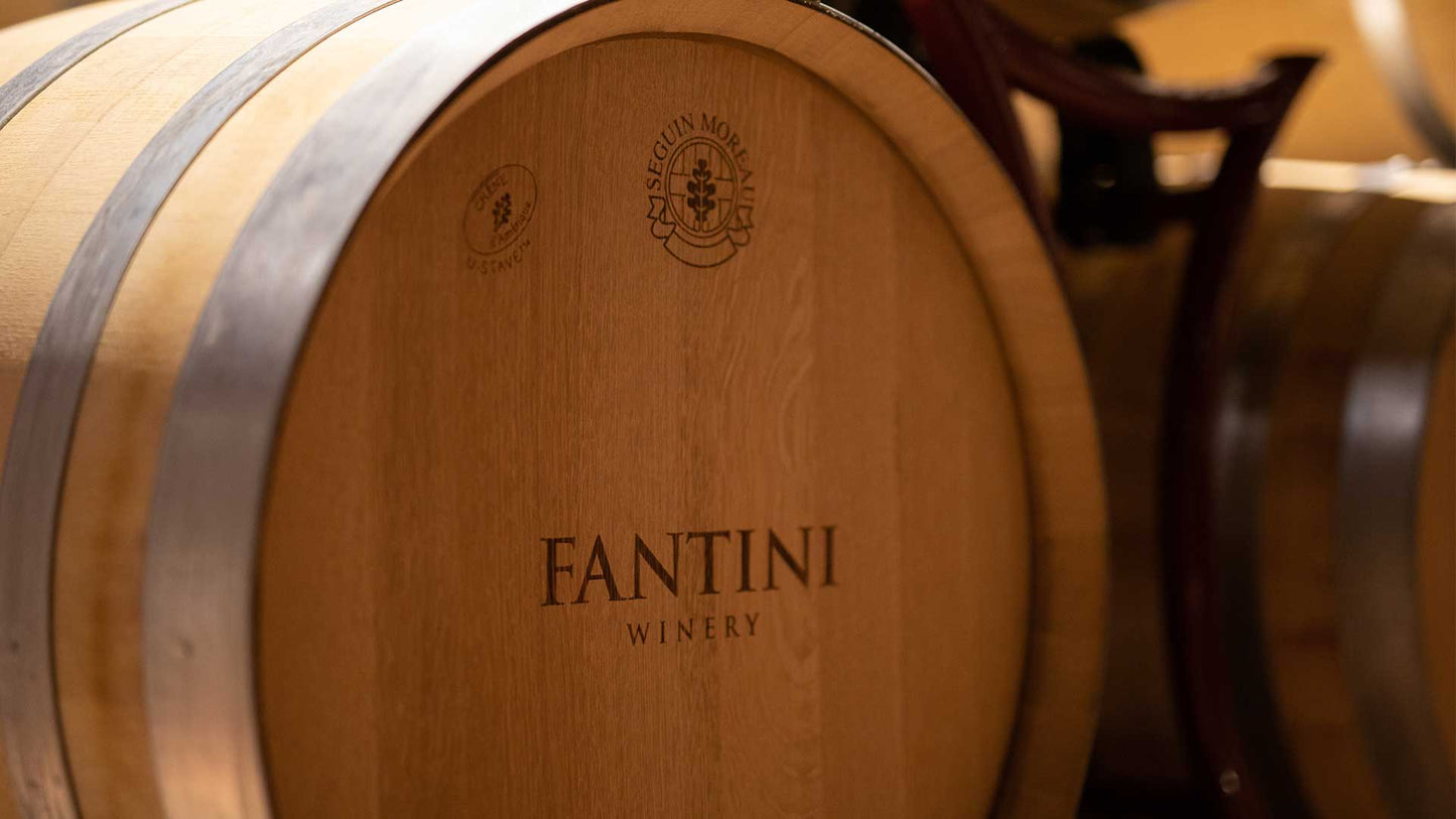 Lava Falanghina Campania IGT 2024, Fantini