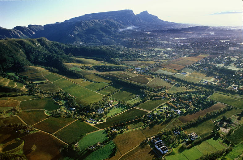 Constantia riesling 2024