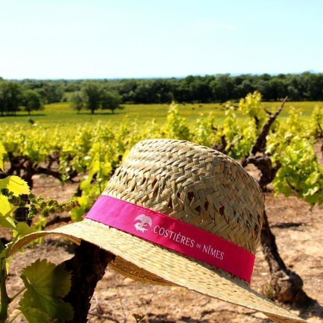 Costières de Nîmes Rosé 2025