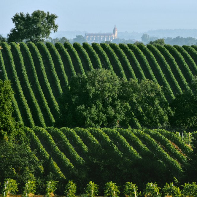 IGP Côtes de Gascogne 'L'original' 2023, Chambre d'Amour