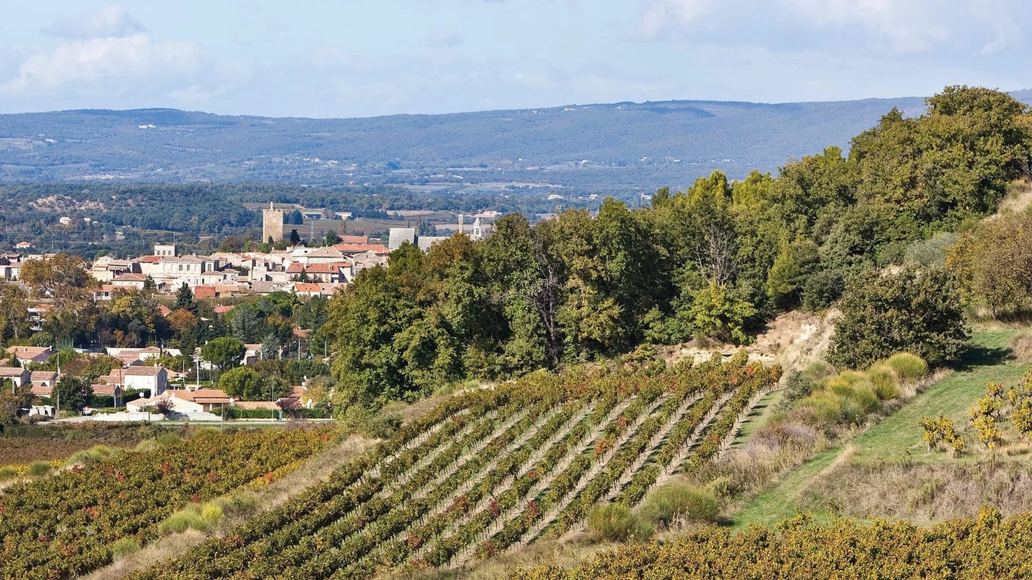 Côtes du Rhône blanc 'Lou Pontias Viognier' 2023