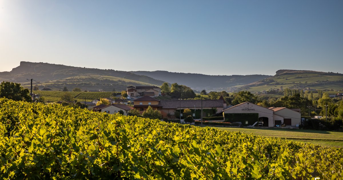 Saint-Véran 'Tradition' 2023