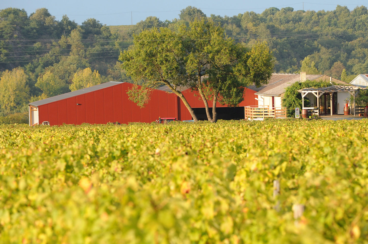 Savennières 'Les Deux LL' 2023