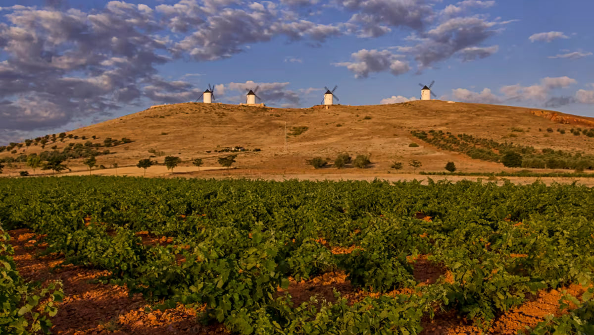 Albillo Real 'Obscuro' 2023, Bodegas Verum