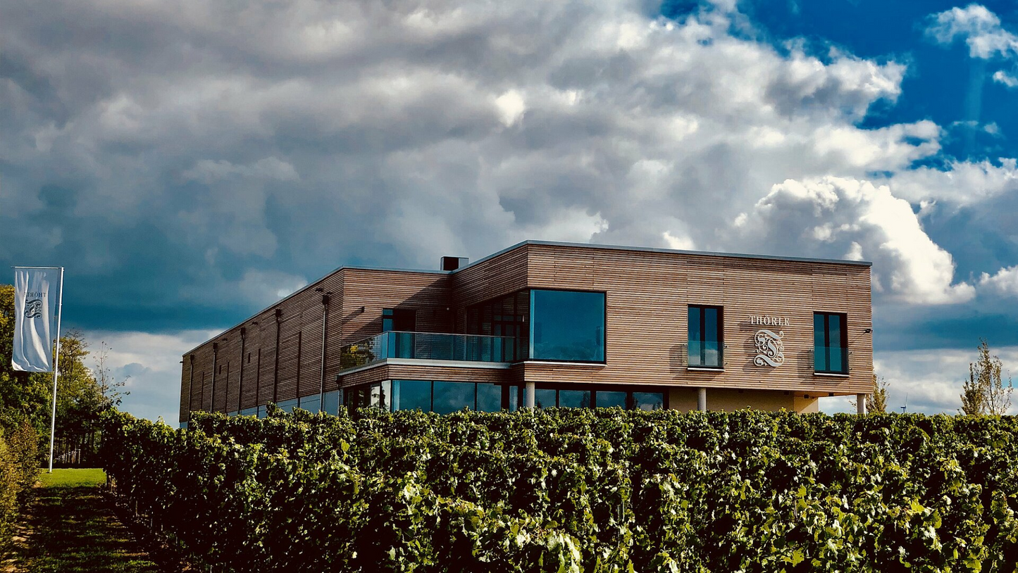 Rheinhessen 'The Green Hill' Riesling 2024