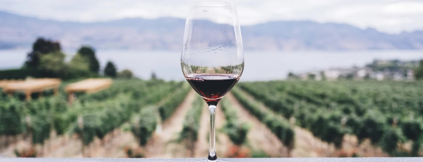 Piemonte DOC Albarossa 'Macchiaferro' 2019