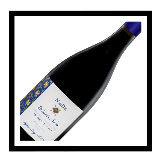 Terre di Chieti igt Pinot Nero 2024, Cantine Sgarzi Luigi, Abruzzes