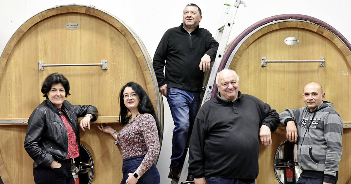 Beaujolais 'Le Ronsay' 2023