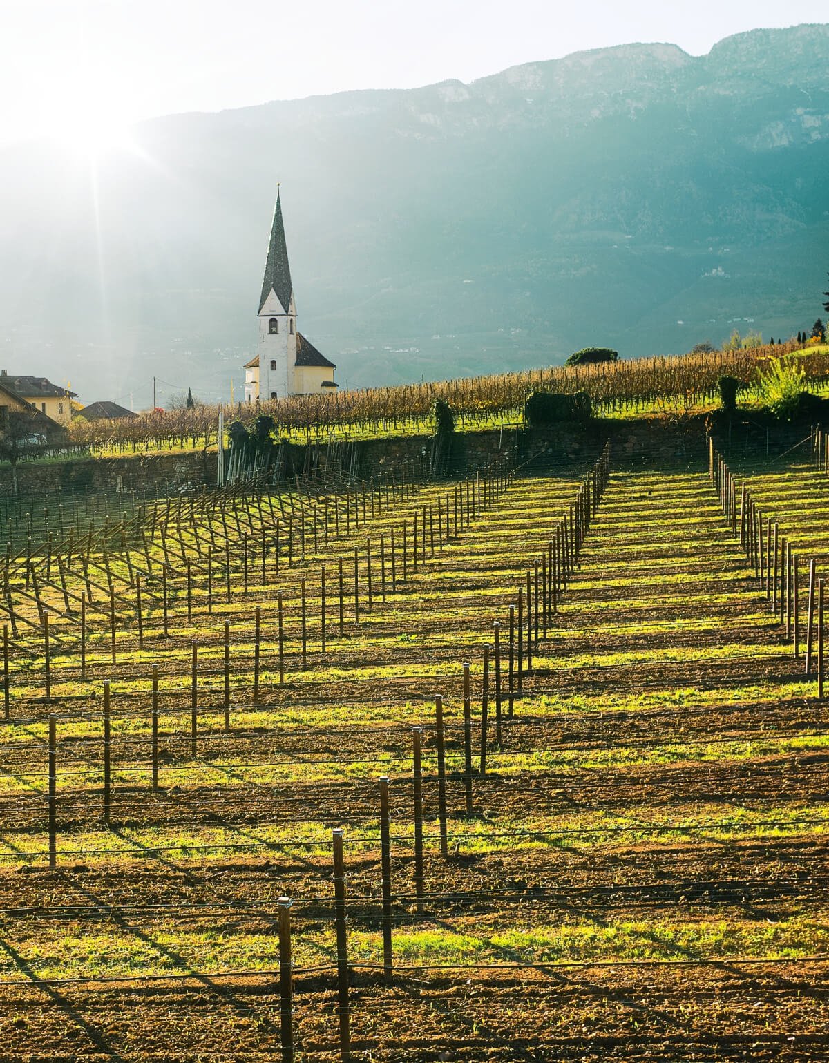 Santa Maddalena Classico Alto Adige DOC 2023, Kallerei Bozen