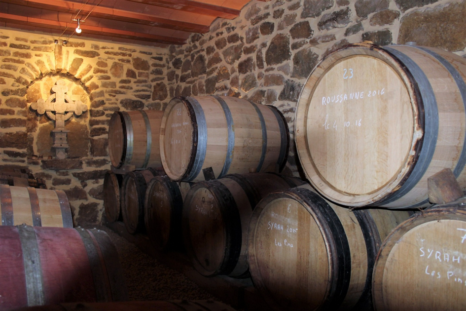 IGP Côtes de Thongue 'Carignan Vieilles Vignes' 2023