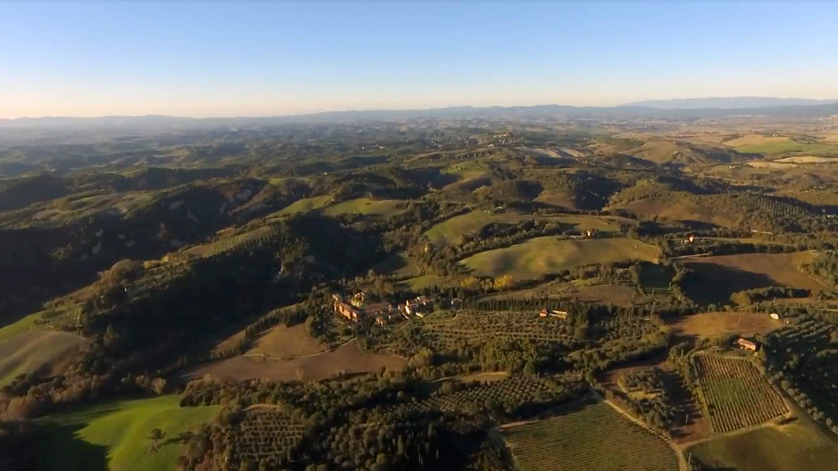 Rosso di Montalcino 2023, Azienda Agricola Loghi
