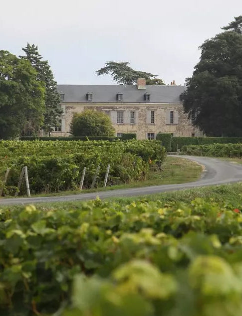 Bourgueil 'L'Équilibre' 2022
