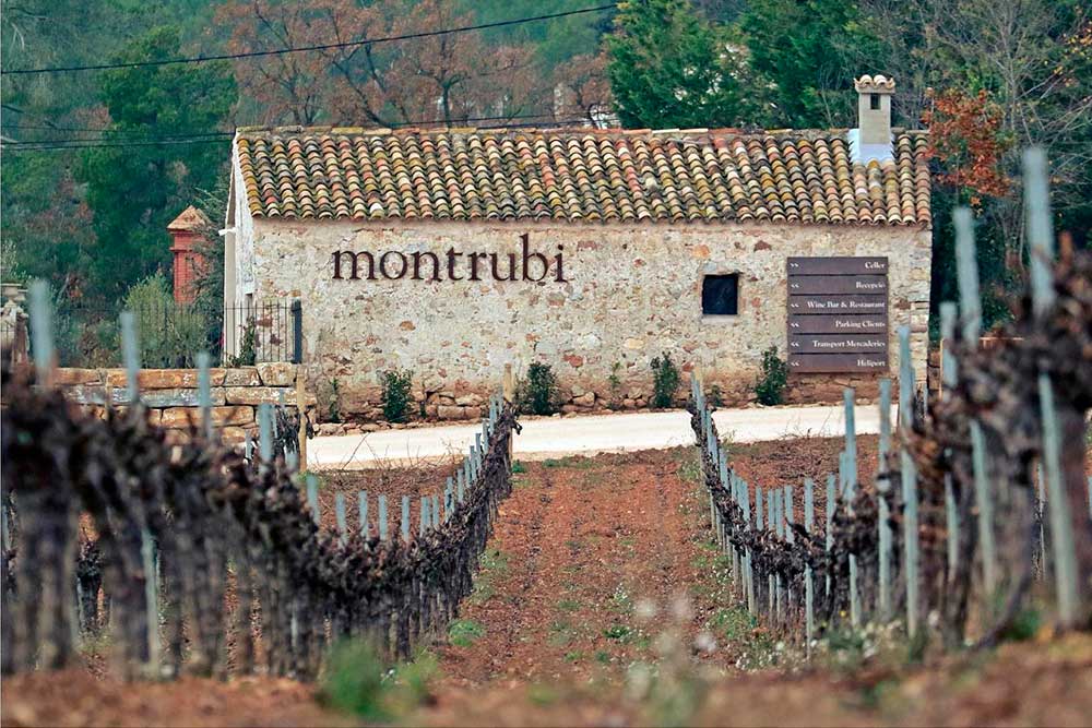 Penedès DO Garnatxa Negra 2023