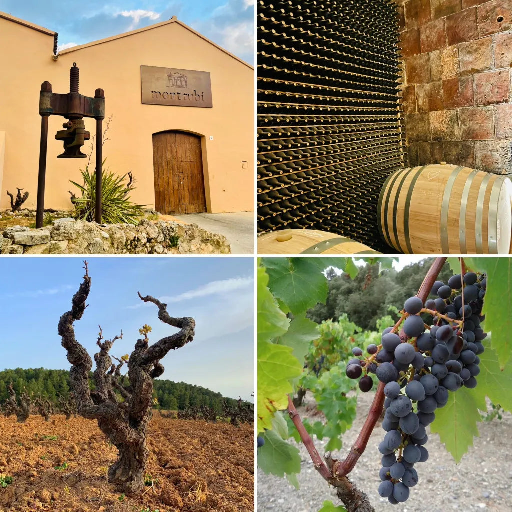 Penedès DO Garnatxa Negra 2023