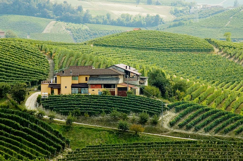 Langhe Freisa 'La Ferma' 2022