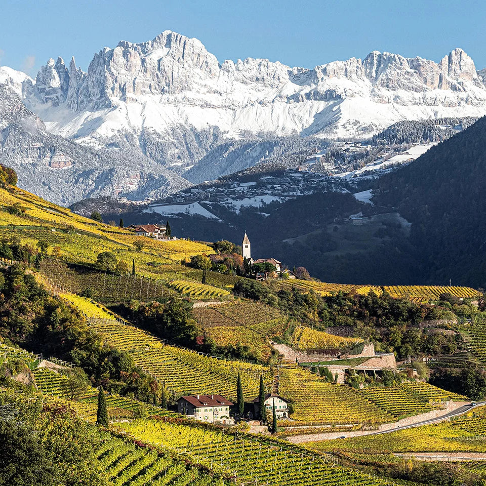 Alto Adige 'Cora Pinot blanc' 2024