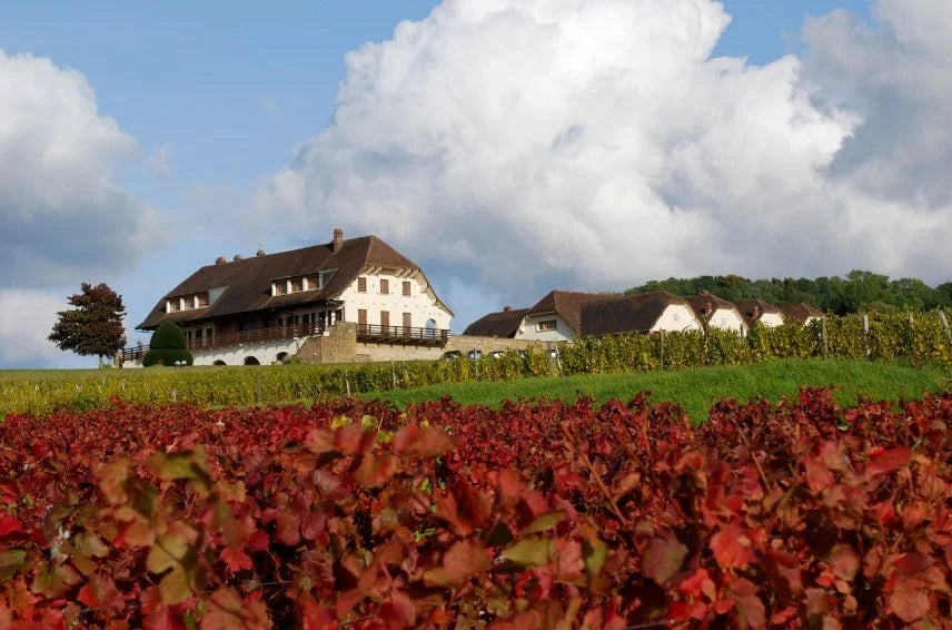 Arbois 'Poulsard Pinte bien' 2023