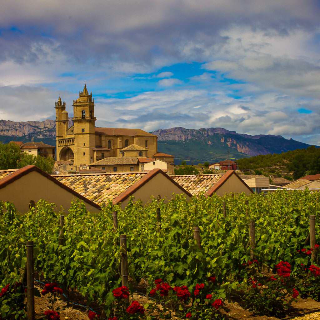 Rioja DOCA Tempranillo blanco 2022