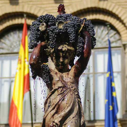 DO Cariñena 'Bota Bota' 2023