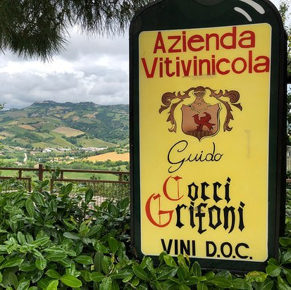 Rosso Piceno 'Tarà' 2023