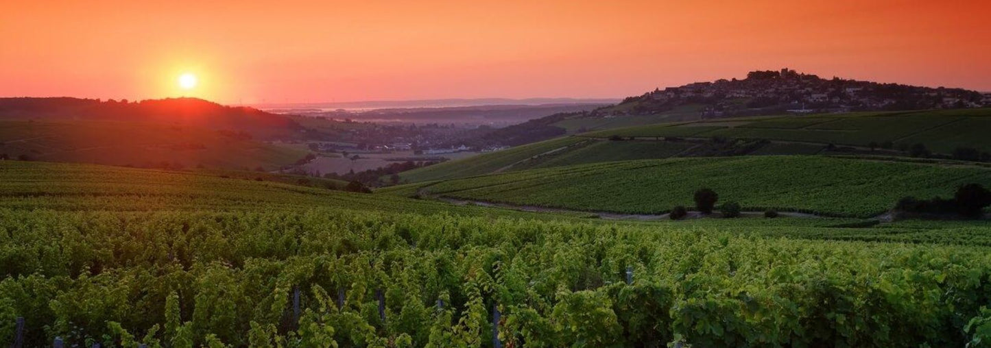 Sancerre 'Cuvée Initiale' 2023