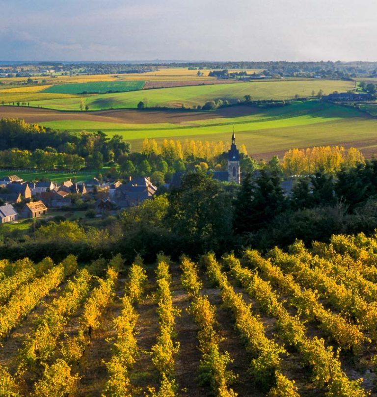 Savennières 'Les Deux LL' 2023