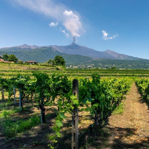 Etna rosso 'Alta Mora' 2021