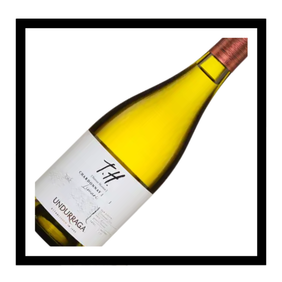 SAQ Chardonnay Terroir Hunter 2024, Undurraga, Valle del Limari, Chili
