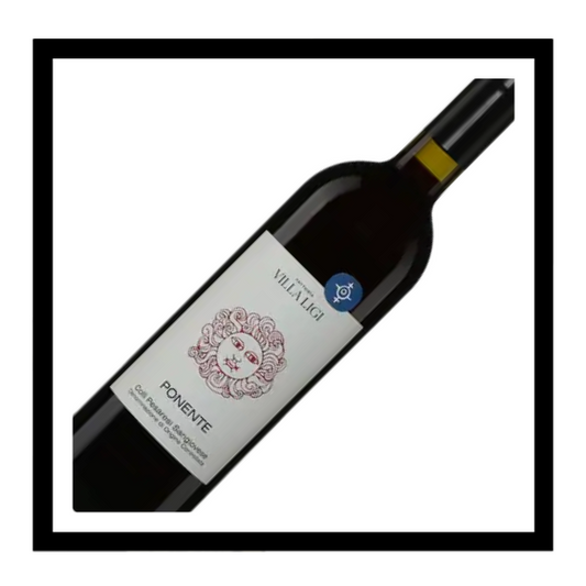 SAQ Colli Pesaresi doc ‘Ponente’ 2024, Fattoria Villa Ligi, Marches, Italie