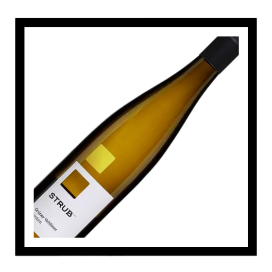 SAQ Rheinhessen QbA ‘Grüner Veltliner Trocken’ 2025, Weingut Strub, Allemagne