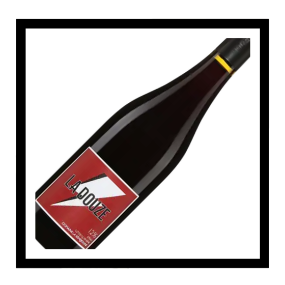 SAQ Côtes du Rhône ‘La Douze’ 2023, Domaine la Réméjeanne