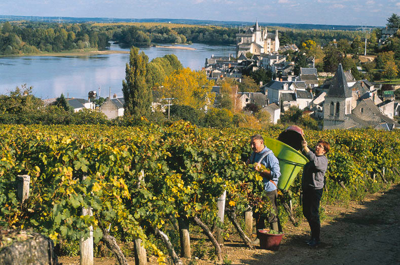 Crémant de Loire Extra Brut NM