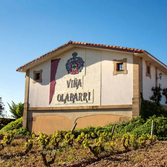 Rioja Crianza DOC 'Bikandi' 2021