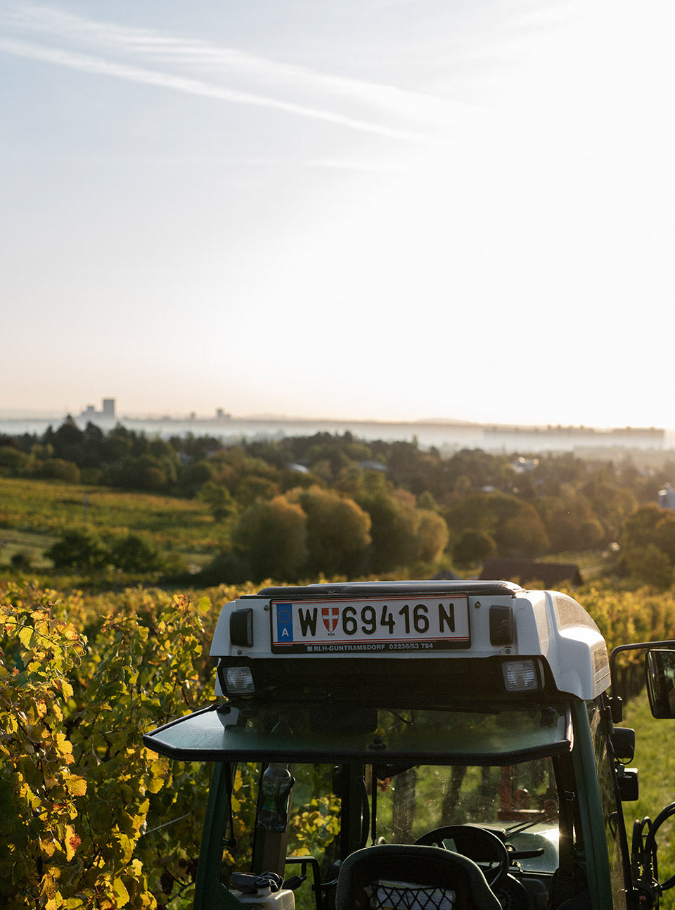 Wien Grüner Veltliner ried Goldberg 2021